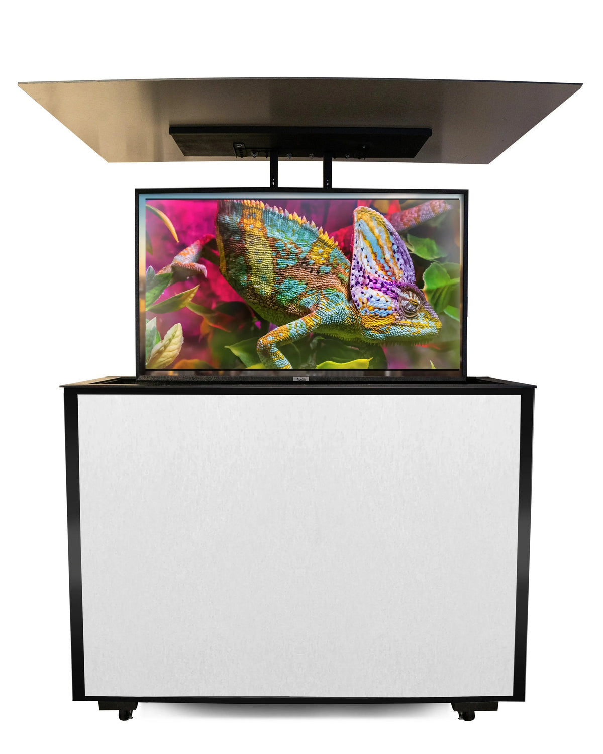 MirageVision 50" Outdoor TV Premium Lift Cabinet
